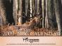 2009 Elk Calendar - Preview