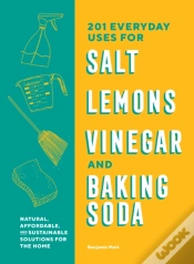 Capa do artigo 201 Everyday Uses For Salt, Lemons, Vinegar, And Baking Soda
