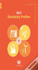 2013 Electricity Profiles