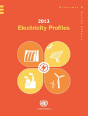 2013 Electricity Profiles - Preview
