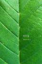 2014 March Vol. 3 - Preview