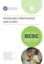 2018-2019 Basic And Clinical Science Course (Bcsc), Section 9: Intraocular Inflammation And Uveitis - Preview
