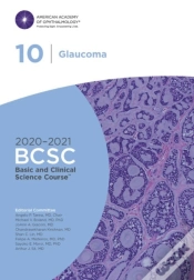 Capa do artigo 2020-2021 Basic And Clinical Science Course (Tm) (Bcsc), Section 10: Glaucoma