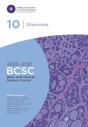 2020-2021 Basic And Clinical Science Course (Tm) (Bcsc), Section 10: Glaucoma - Preview
