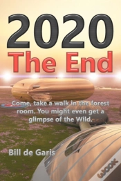 Capa do artigo 2020 The End