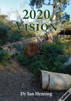 Capa do artigo 2020 Vision