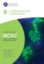 2021-2022 Basic And Clinical Science Course, Section 09: Uveitis And Ocular Inflammation - Preview