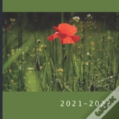 2021 - 2022
