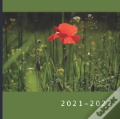 Capa do artigo 2021 - 2022