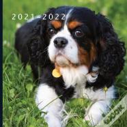 2021 - 2022