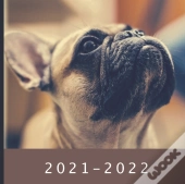 2021 - 2022