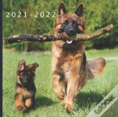 2021 - 2022