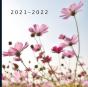 2021 - 2022 - Preview