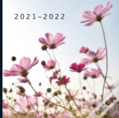 2021 - 2022