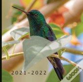 2021 - 2022