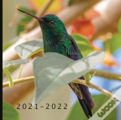 Capa do artigo 2021 - 2022
