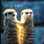 2021 - 2022 - Preview