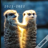 2021 - 2022