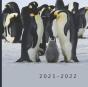 2021 - 2022 - Preview