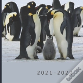 2021 - 2022