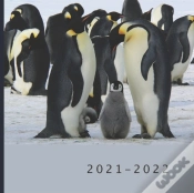 Capa do artigo 2021 - 2022
