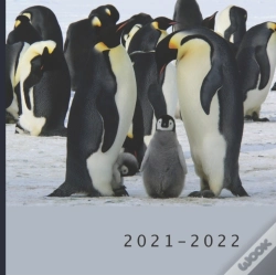 Capa do artigo 2021 - 2022