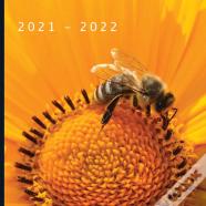 2021 - 2022