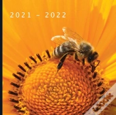 2021 - 2022