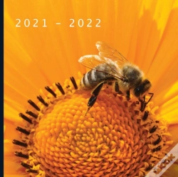 Capa do artigo 2021 - 2022
