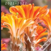 Capa do artigo 2021 - 2022
