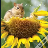 2021 - 2022