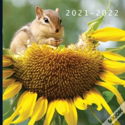 Capa do artigo 2021 - 2022