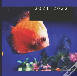 Capa do artigo 2021 - 2022