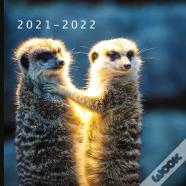 2021 - 2022