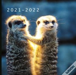 Capa do artigo 2021 - 2022