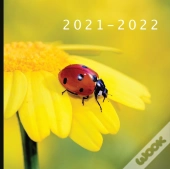 2021 - 2022