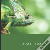 2021 - 2022