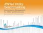 2021 Awwa Utility Benchmarking - Preview
