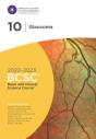 2022-2023 Basic And Clinical Science Course, Section 10: Glaucoma Print - Preview