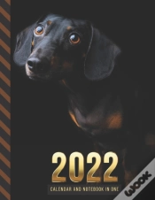 Capa do artigo 2022 Calendar And Notebook In One