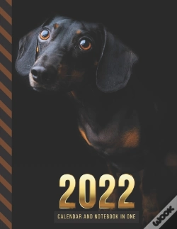 Capa do artigo 2022 Calendar And Notebook In One