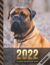 Capa do artigo 2022 Calendar And Notebook In One