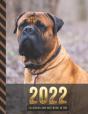 2022 Calendar And Notebook In One - Preview