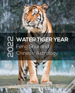 Capa do artigo 2022 Water Tiger Year