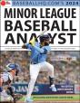 2024 Minor League Analyst - Preview
