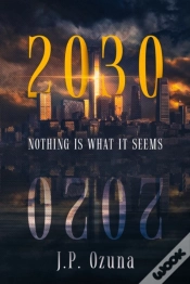 Capa do artigo 2030