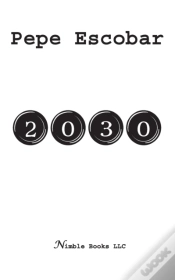 Capa do artigo 2030