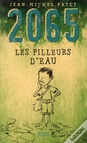 Capa do artigo 2065 ; Les Pilleurs D