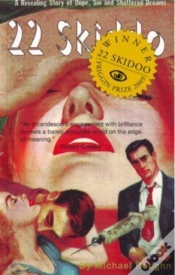 Capa do artigo 22 Skidoo/Subtractions