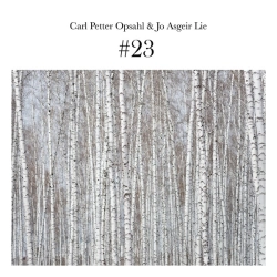 Capa do artigo #23 - CD